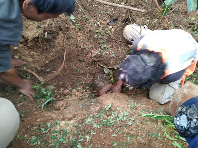 
					Proyek Jalur Ganda Kereta Sukabumi-Bogor Longsor, Enam Anak Terkubur