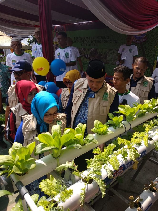 
					Wakil Wali Kota Bekasi, Tri Adhianto saat melakukan peresmian Kampung Hydroponik di lingkungan Perumahan Taman Cikunir Indah, RW 11, Kelurahan Jakamulya, Kecamatan Bekasi Selatan, Minggu (28/7/2019).