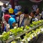 Wakil Wali Kota Bekasi, Tri Adhianto saat melakukan peresmian Kampung Hydroponik di lingkungan Perumahan Taman Cikunir Indah, RW 11, Kelurahan Jakamulya, Kecamatan Bekasi Selatan, Minggu (28/7/2019).