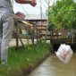 Terjaring OTT Buang Sampah Sembarangan, 27 Warga Bogor Disidang.