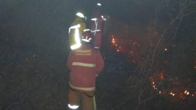 
					Si jago merah melahap sebuah lahan perhutani di Kampung Cibata RT 02, RW 09, Desa Cibeber, Kecamatan Leuwiliang, Kabupaten Bogor.