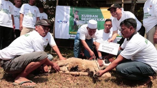 
					Kambing dan sapi kurban yang disembelih didatangkan dari para peternak desa di Kabupaten Garut, Jawa Barat.